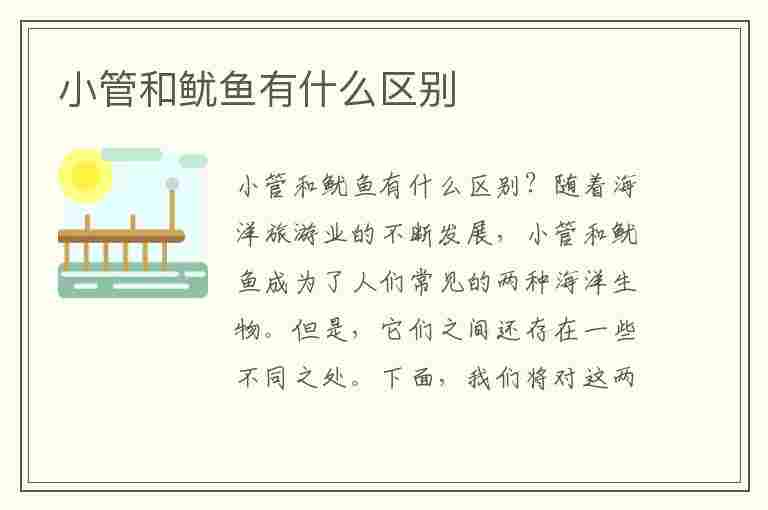 小管和鱿鱼有什么区别(小管和鱿鱼有什么区别图片)